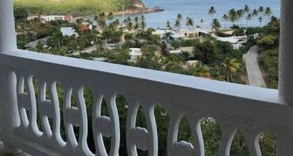 Misty's Point of View