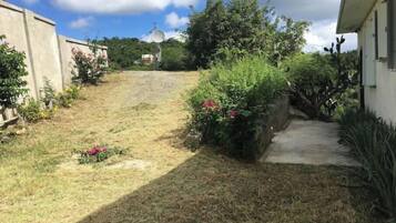A narrow pathway leading to a house with a satellite dish, surrounded by greenery and a clear sky.
