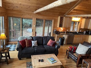 Smart TV, fireplace, DVD player, books