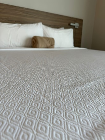 Standard Single Room | Free WiFi, bed sheets. Royal Delonix Hotel