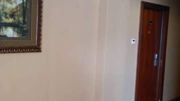 Un couloir avec un tableau encadré sur le côté gauche et une porte en bois sur le côté droit.