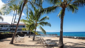 A beach with palm trees, lounge chairs, and a building with a pool in the background. - Lea Casa at Casa de Emdeko (Kailua-Kona)
