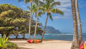 Ein Strand mit Palmen, einem Sandweg und zwei Surfbrettern.