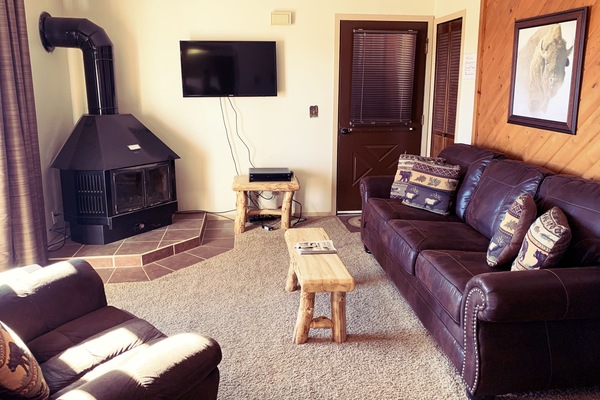 Livingroom with a Queen size sleeper sofa