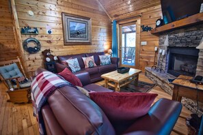 Smart TV, chimenea, reproductor de DVD y libros 