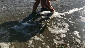 Une personne joue dans une eau peu profonde près d’une côte rocheuse, avec des montagnes en arrière-plan.