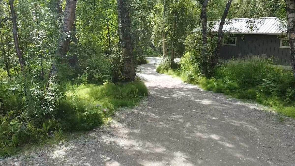 A gravel path leading to a rustic cabin surrounded by dense forest.