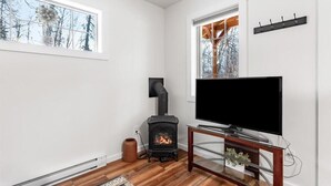 A modern living room with a fireplace, a television on a glass table, and large windows. - Forestlane Cottage 2 (Palmer)