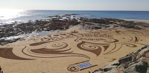 Accommodatie ligt op het strand
