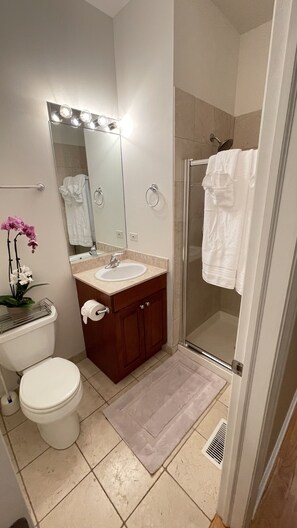 Ensemble douche/baignoire, baignoire Ă jets, sĂšche-cheveux
