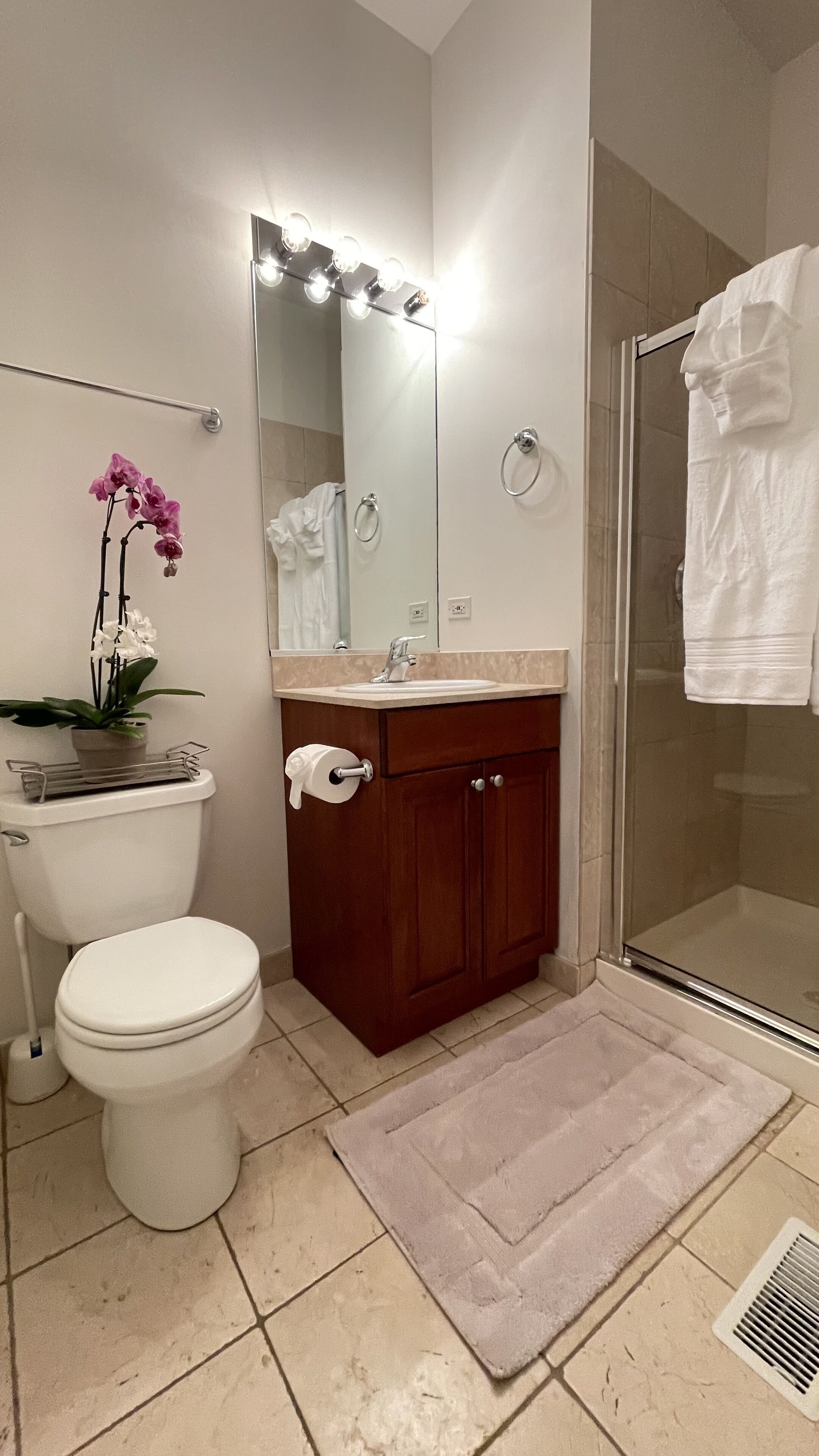 Combined shower/tub, jetted tub, hair dryer, towels