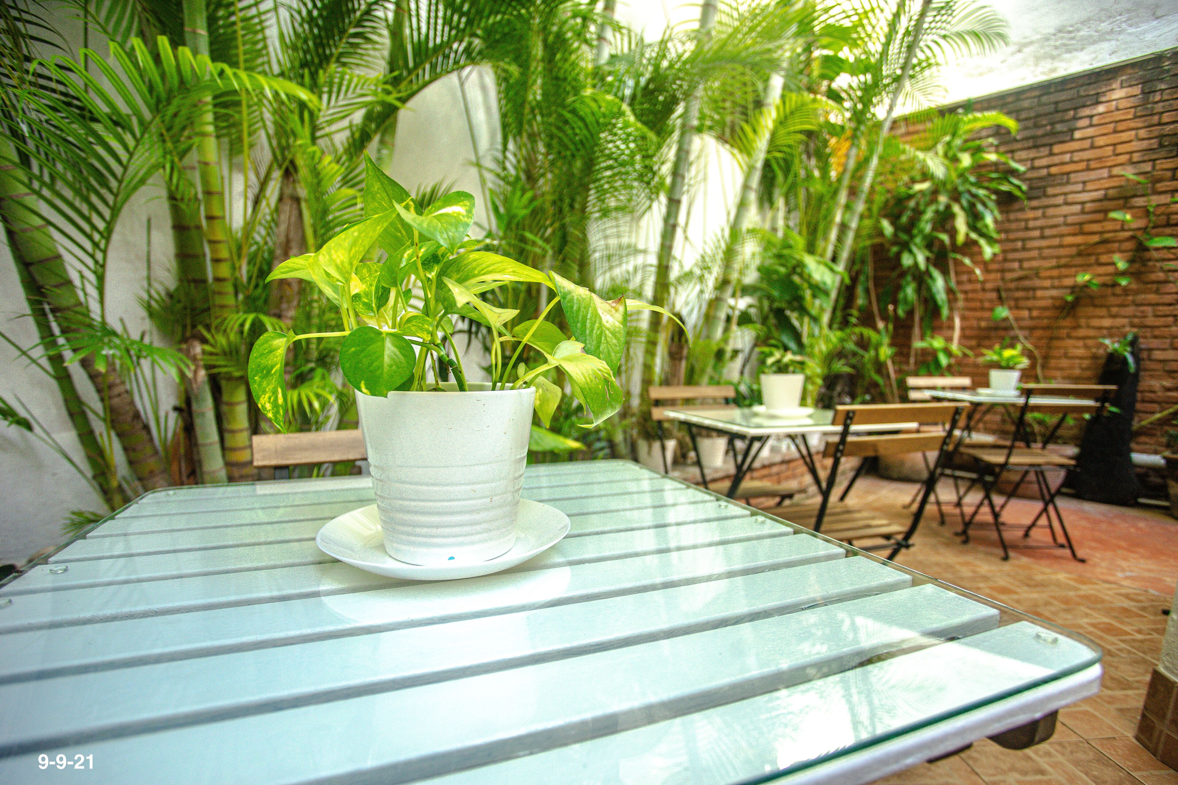 Foto - Suite Colonial by Cristi