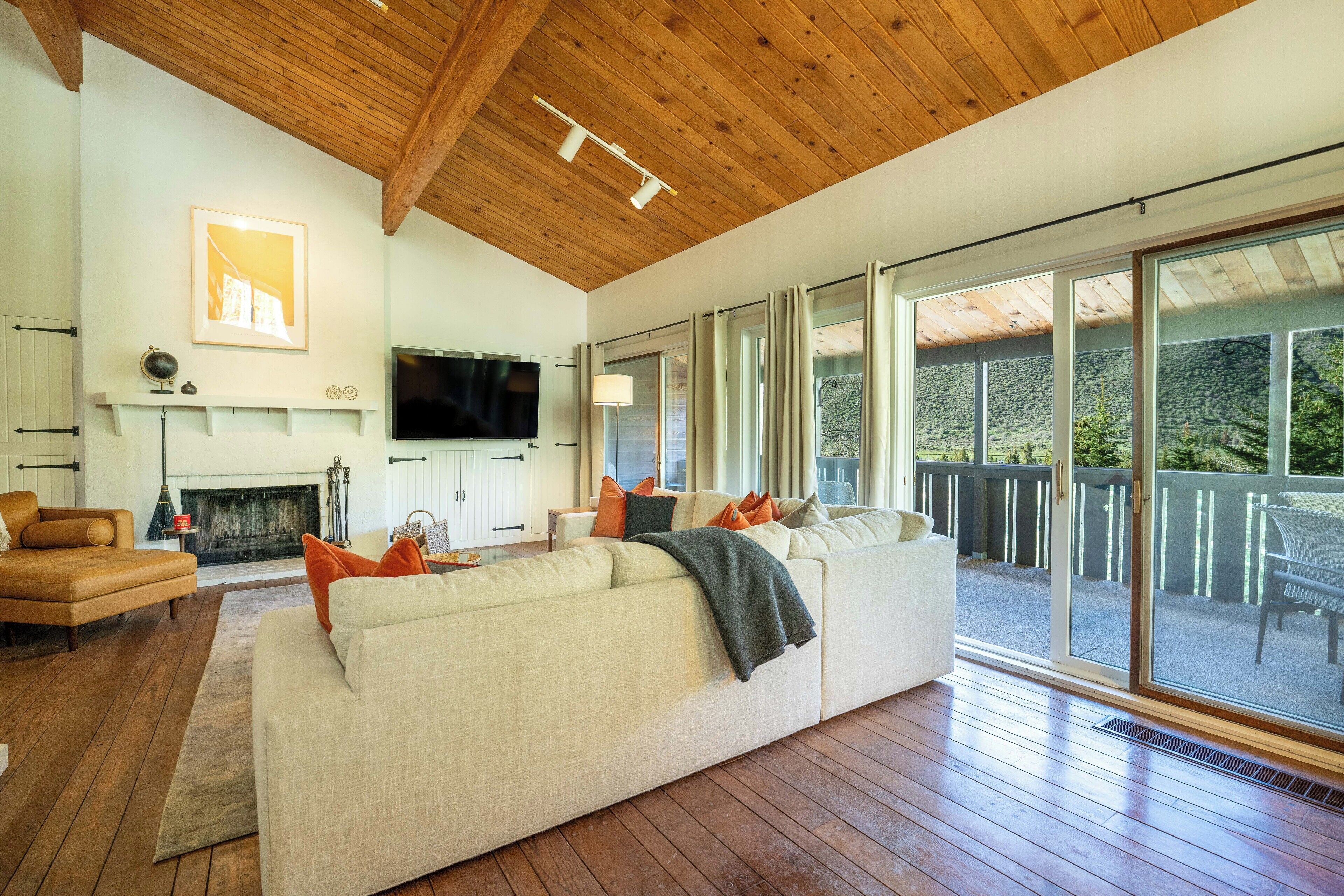 Smart TV, fireplace, books