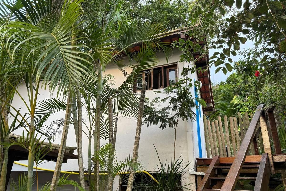 A building surrounded by lush greenery, including tall palm trees and dense foliage.