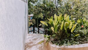 Un sendero de piedra que conduce a un jardín con una planta grande y una escalera.
