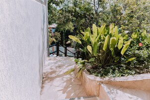 Un vialetto in pietra conduce a un'area giardino con una pianta grande e una scalinata.