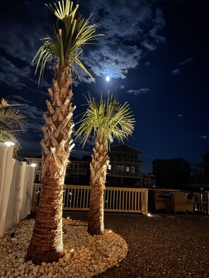 Two palm trees in a garden area with a white fence and a building in the background. - Home on a deep water canal -private dock- 4 min walk to the beach- endless views (Holden Beach)