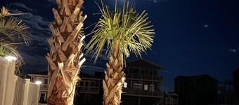 Home on a deep water canal -private dock- 4 min walk to the beach- endless views