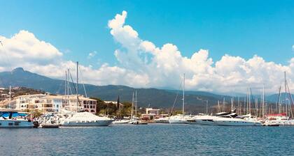 DOLCE VITA - VUE MER- CLIM- PLAGE ET COMMERCES A PIEDS