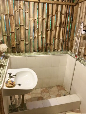 Shower, towels, soap, toilet paper
