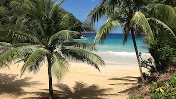 Una playa cerca