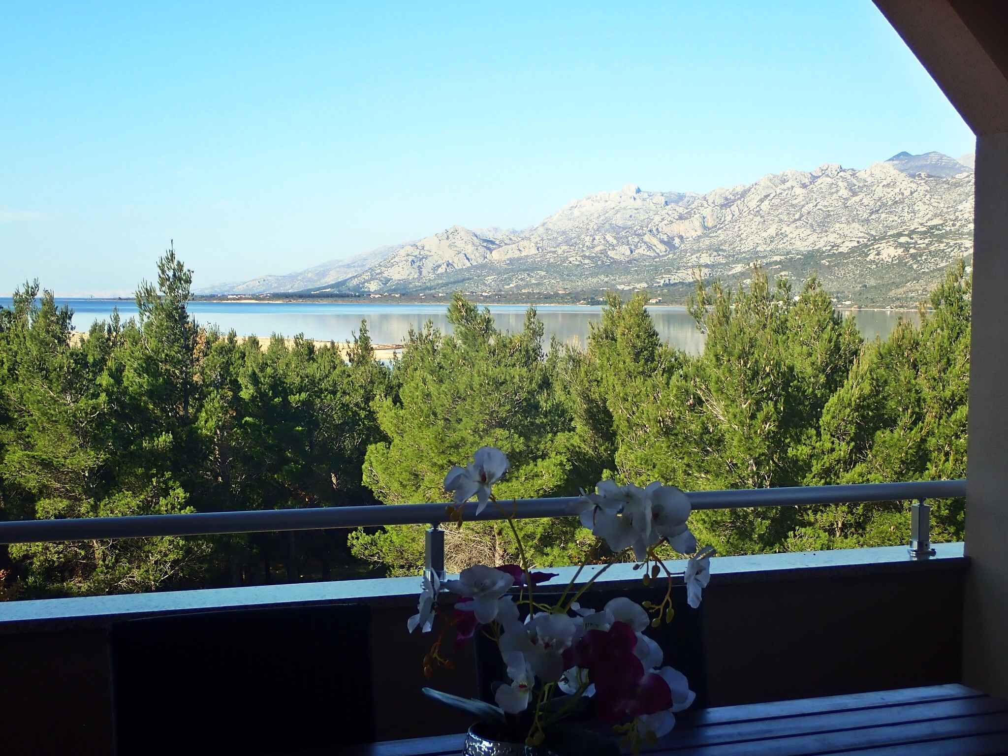 A balcony with a view of a lake and mountains, and a vase of white flowers.