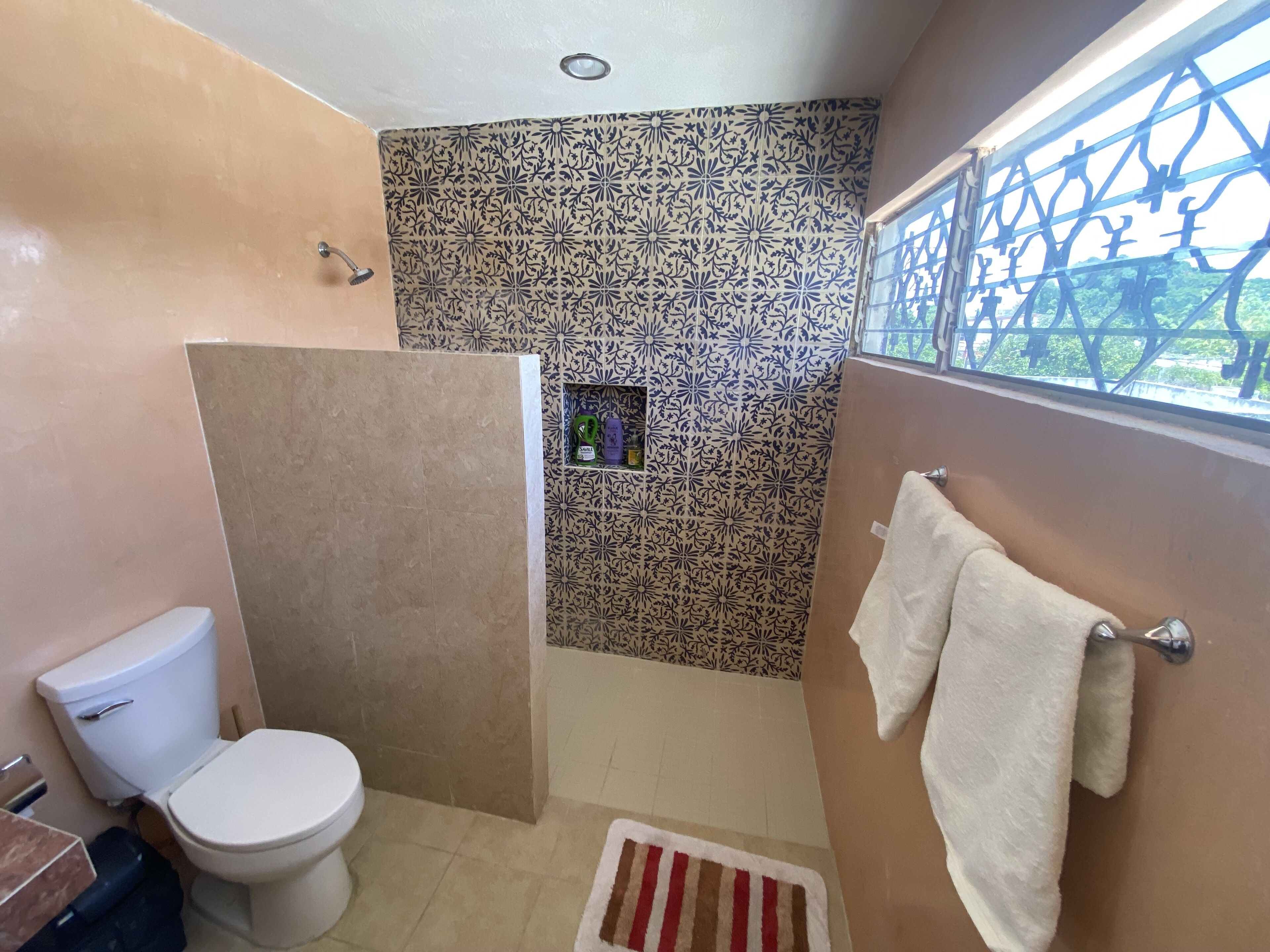 A bathroom with a toilet, a shower area, and a window with a view.