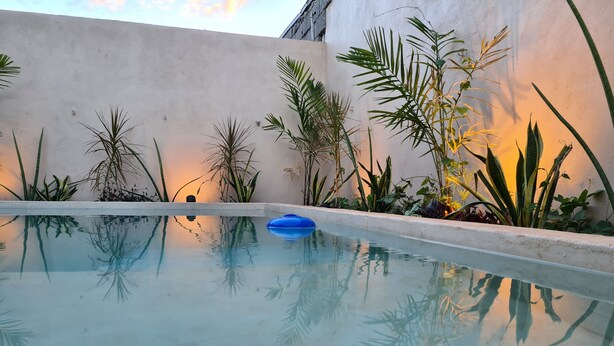 A swimming pool with clear water, surrounded by various plants and a concrete wall. - 300MB/S Wifi with an amazing pool 3 Bed 2.5bath house (Mérida)
