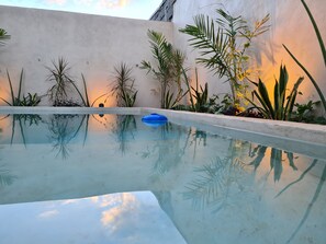 A swimming pool with clear water, surrounded by various plants and a concrete wall. - 300MB/S Wifi with an amazing pool 3 Bed 2.5bath house (Mérida)