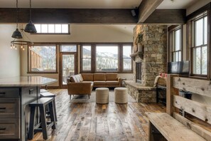 Smart TV, fireplace, books, video library