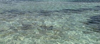 Beach Apartment 2/4 Sea view