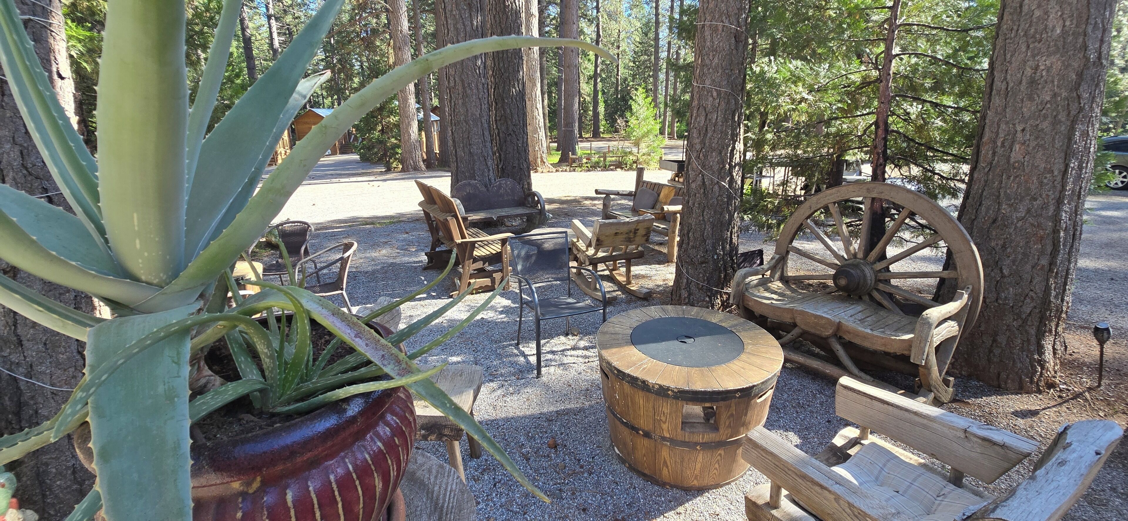 Restauration en plein air