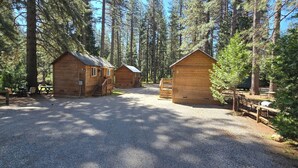 A campground with wooden cabins, gravel paths, and surrounding tall trees.