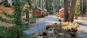 Camping Cabin C at Bigfoot Lodging Mt. Lassen