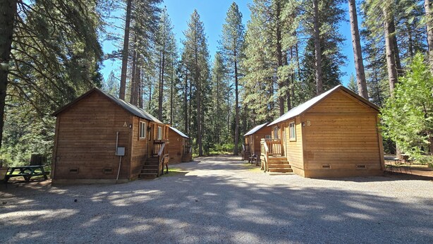 Two wooden cabins with external stairs, surrounded by tall pine trees.