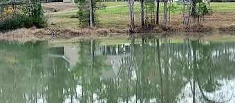 Great get a way--8 acres and pond, firepit peace and quiet