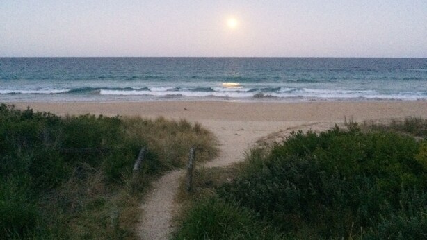 A beach path leading to the ocean with a clear sky and a visible moon. - Modern Self Contained Studio at Narrawallee Beach (Narrawallee)