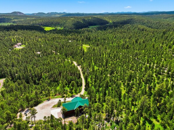 A forested area with a building featuring a green roof, surrounded by dense trees and a clear sky.