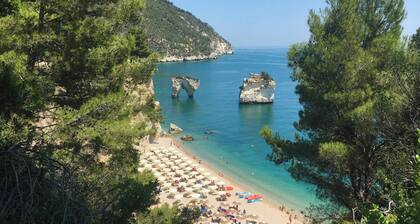 "saracena" Holiday Home with Private Beach and Swimming Pool