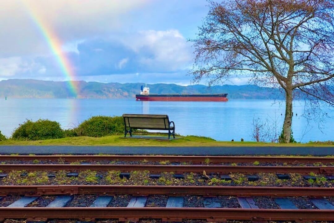 A bench overlooking a lake with a rainbow, a distant ship, and a tree.