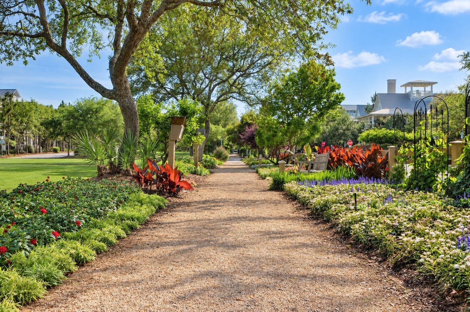 Un sendero en un jardín con superficie de grava, rodeado de diversas plantas y flores.