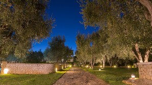 A stone pathway flanked by trees and lit by ground lights, leading to a stone wall.