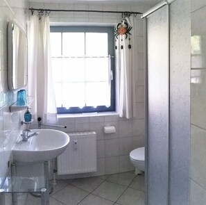 Shower, hair dryer