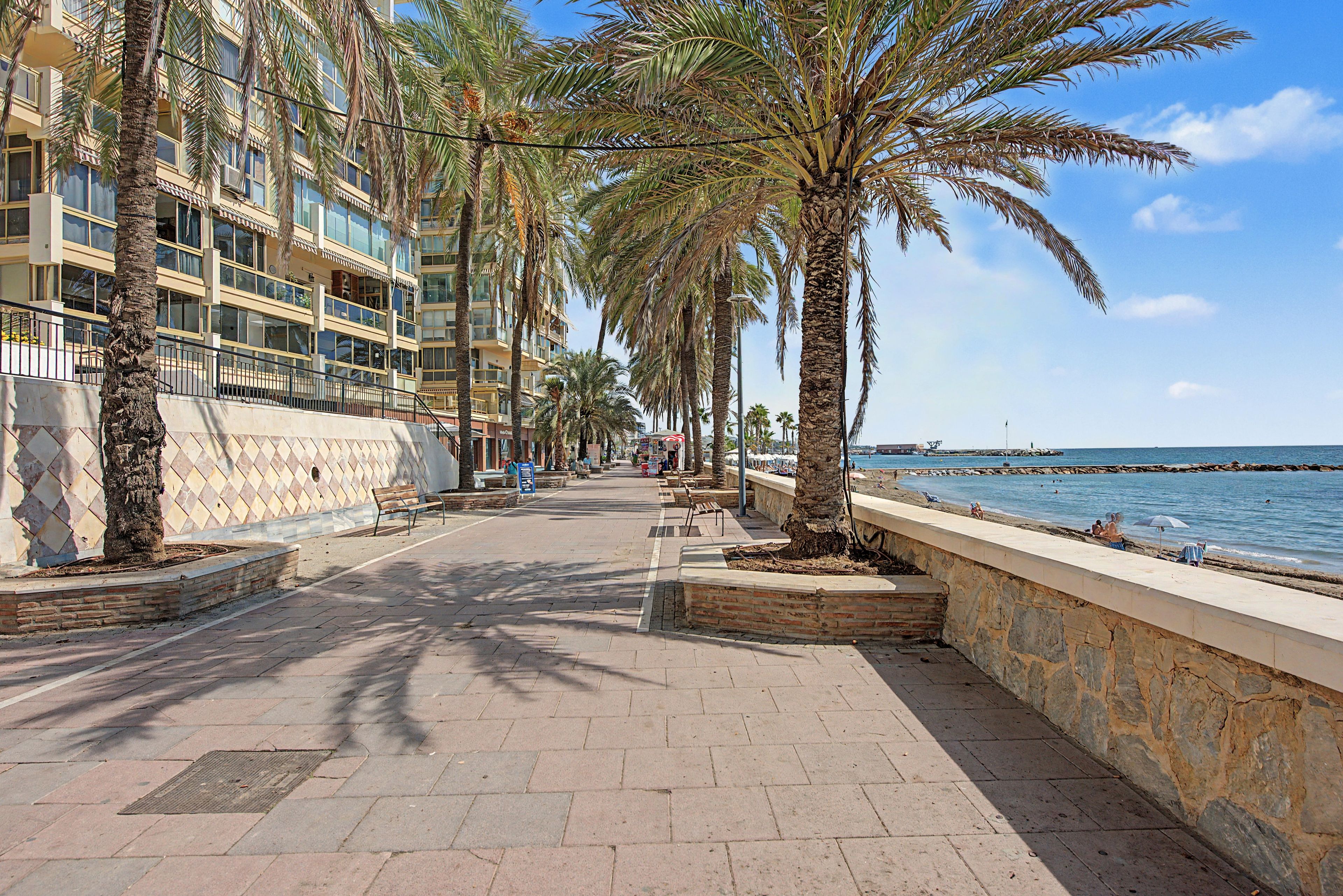 A paved walkway lined with palm trees and a building with balconies, leading to a beach.