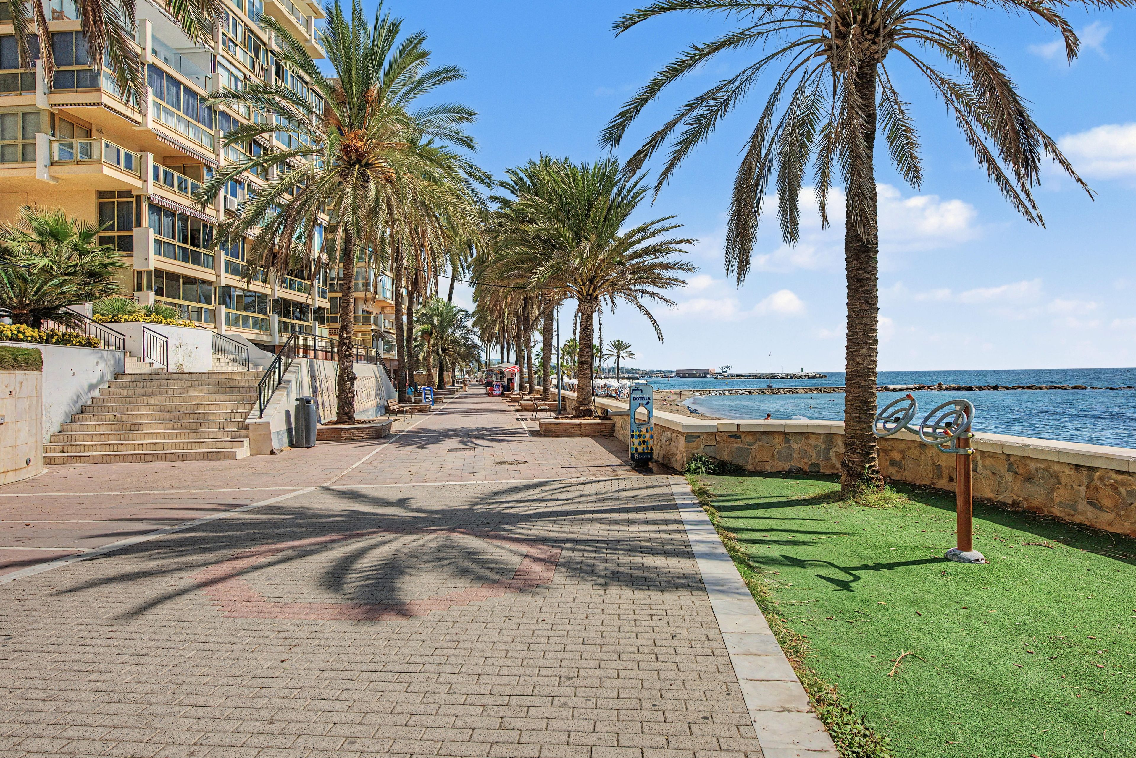 A coastal promenade with palm trees, a clear sky, and a view of the sea.