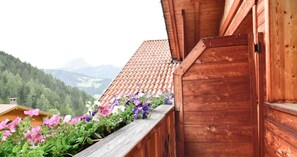 Detalle exterior