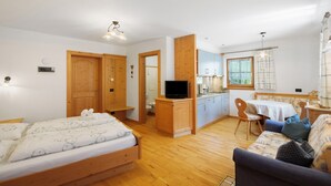 Un dormitorio con cama, sofá, televisión y kitchenette.