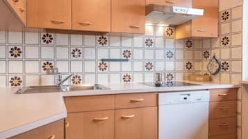 Kühlschrank, Mikrowelle, Herdplatte, Geschirrspüler