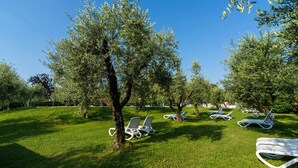 A grassy area with several white lounge chairs and trees. - Mansion by Lake Garda with Pools & Olive Trees (Manerba del Garda)