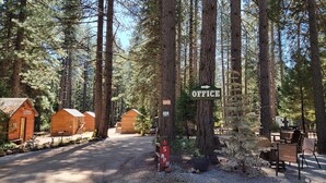 A forested campground with wooden cabins, a gravel path, and a sign indicating an office.